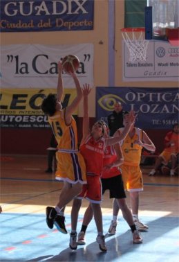 20100220235848-imagen2.jpg